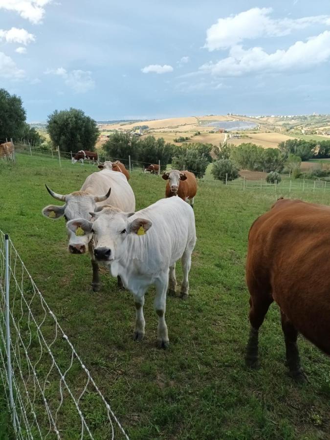 Casa Di Campagna Villa De Luca Bellante Buitenkant foto