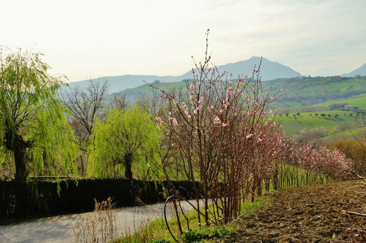 Casa Di Campagna Villa De Luca Bellante Buitenkant foto